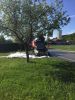 Brand
